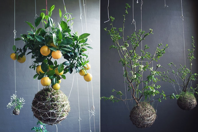 Indoor Gardening And Plant Design Ideas Indoor Herb Garden Modern