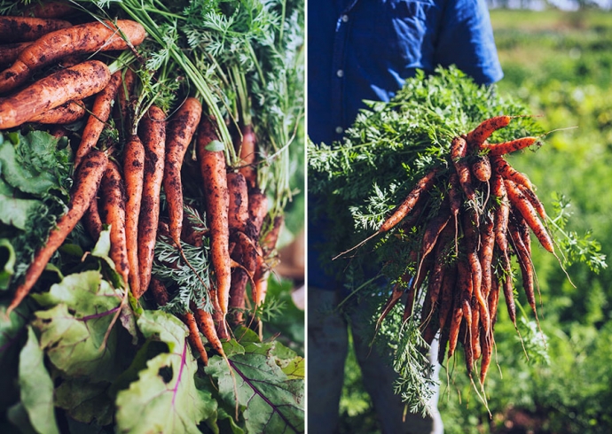 Whole Larder Love | Grow. Gather. Hunt. Cook; photo by Rohan Anderson.